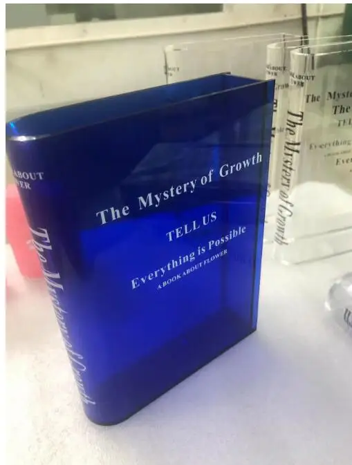 Clear Flower Box Bouquet Creative Fashion Design  Acrylic Vase Holder