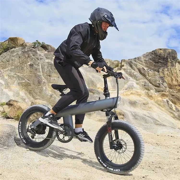 E Bike High Speed Mountain Bicycle Fat Tire E Electric Bicycle Electric Dirt Bike Folding 48v 20 Inch Lithium Battery 30-50 Nm