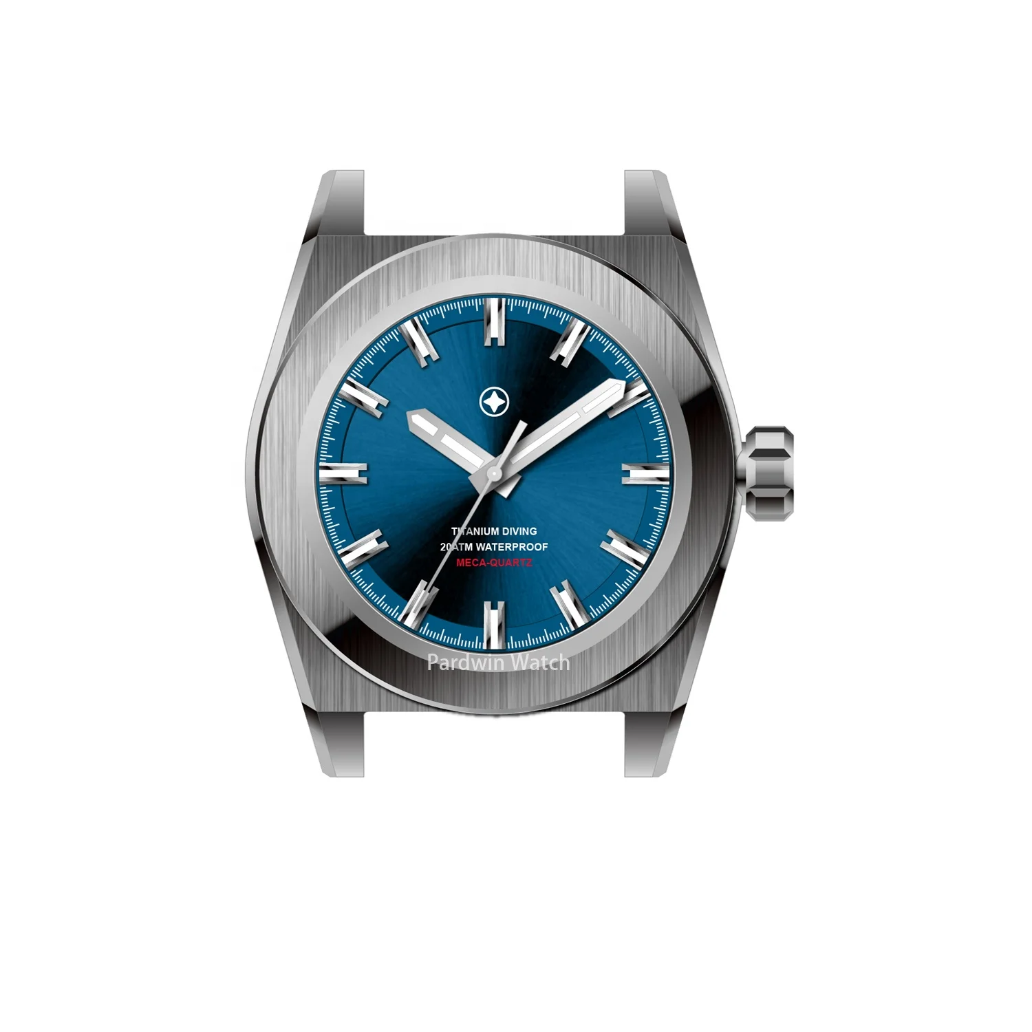 Custom Made Stainless Steel Automatic wrist watch applied Switzerland BGW9 luminous Mechanical watch  with Meterorite dial