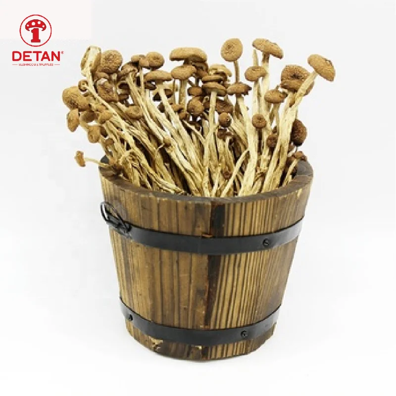Detan Prices for Dry Royal Chestnut Wholesale Mushroom