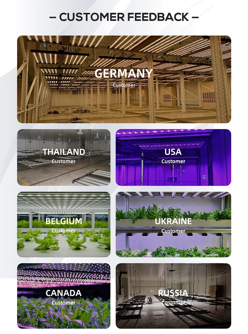 high quality reasonable price led grow lights 100w full spectrum led grow light 120w high yield 120w led grow light uv ir