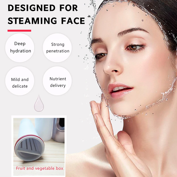 Beauty Equipment Home Use Ion Nano Face Spray Portable Facial Steamer