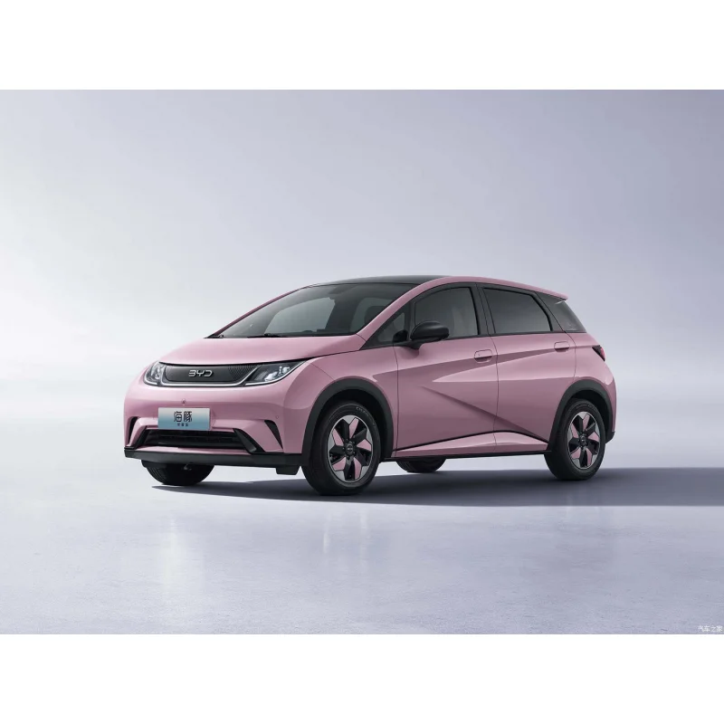 2024 BYD Dolphin Smart Adult Electric Vehicle New Energy Vehicle