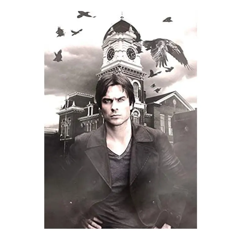 Meian Hot selling vampire diaries Resin Mosaic kit painting of a diamond Paintings for Living