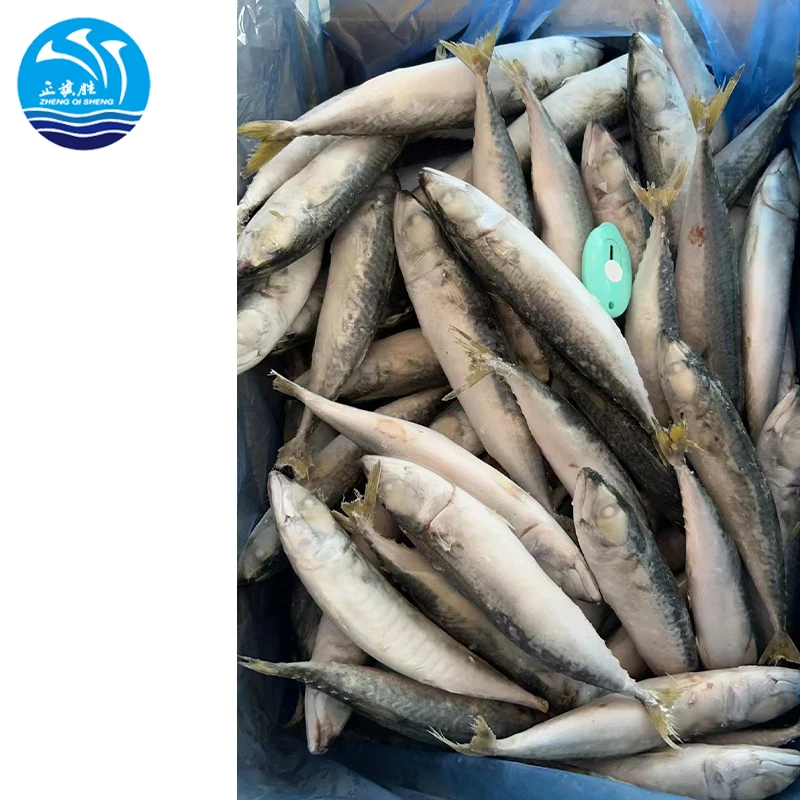 Seafood  manufacturer  Wholesale Fresh frozen Light catching IQF mackerel fish