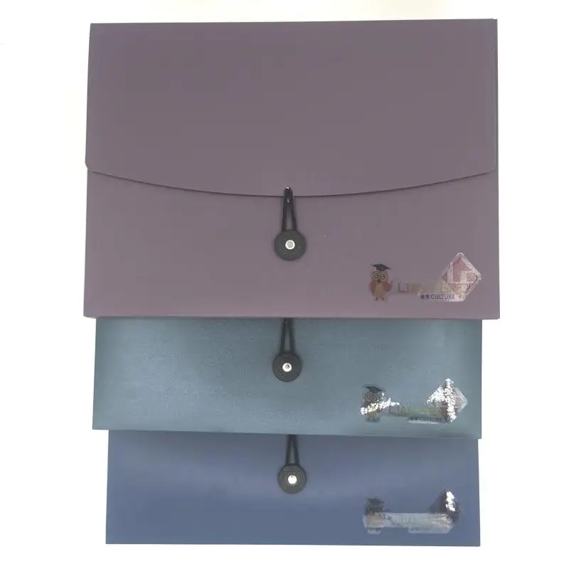 Поставка от производителя, оптовая продажа, водонепроницаемая папка A4 Pp, папка-портфель, папка с черной кнопкой и эластичной застежкой