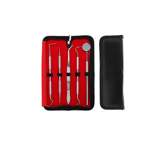 Dental Hygiene Kit Set Stainless Steel Non Slip Grip Silver Colour Tooth Pick, Dental Clay Removers dental instruments