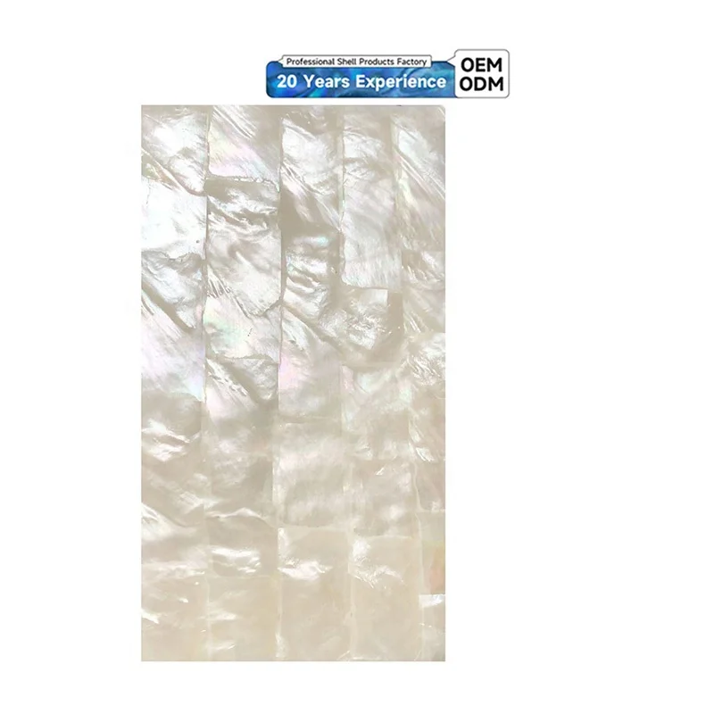 XE-028 New Design White mop shell sheet abalone White shell sheets mother of pearl sheet For Sale