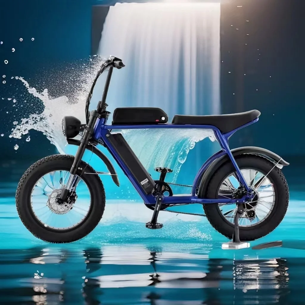 WT20 40Ah dual battery high power high quality 20 inch snow fat tire 500W-1000W off-road electric bike