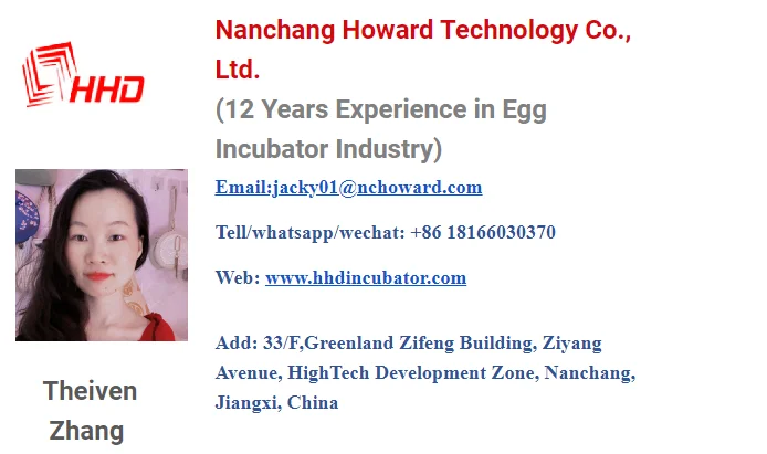 WONEGG Factory Solar Eggs Automatic Incubator For Egg Incubator 10000 Egg Hatching Machine