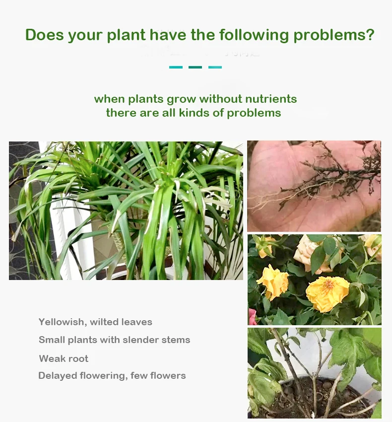 Оптовая продажа, бренд oem, бутылка 1000 мл, жидкость для сада, роза, Подсолнух npk 6 5 6, производители удобрений из Китая