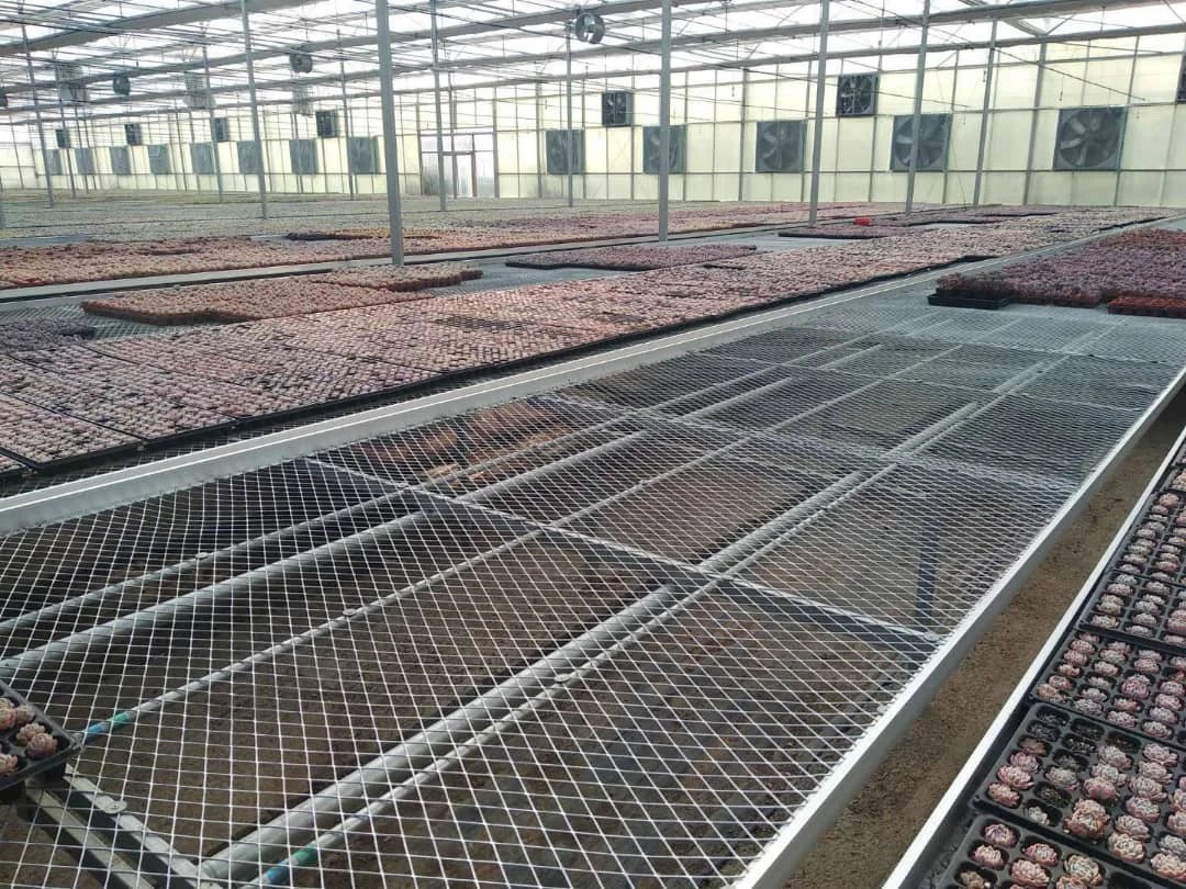 cheap film greenhouse.jpg