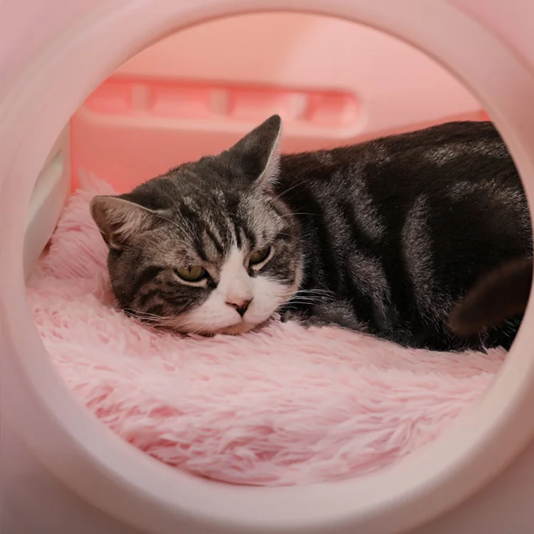 New Pet Cat Nest Thickened Food Grade Plastic Small Pet Luxury Cat House With Removable Scratch Board Indoor Cat House