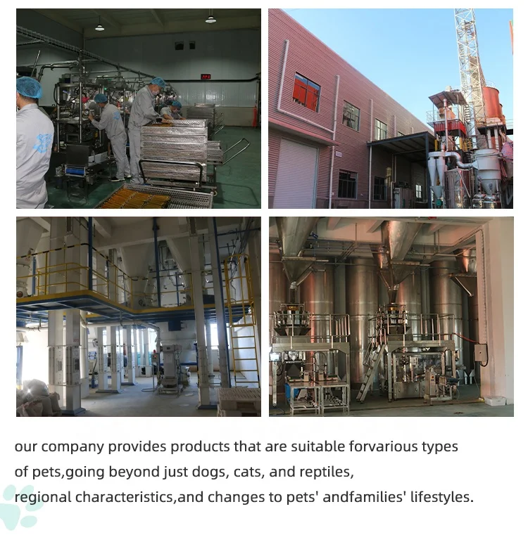 Amazon продает новые закуски для кошек, упакованные с естественным кормом для кошек, печенье для рыбы и корм для домашних животных