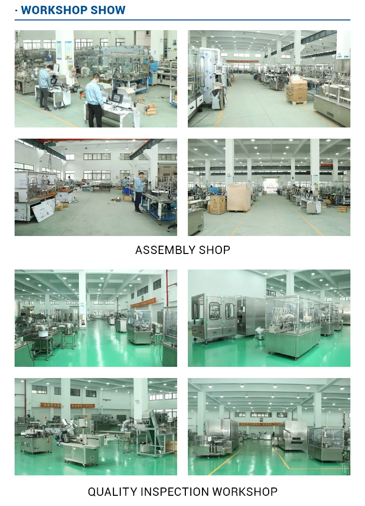 BW-KB Hot Sealing Automatic 100g 200g 500g Curry Powder Turmeric Powder Masala Powder Packing Machine