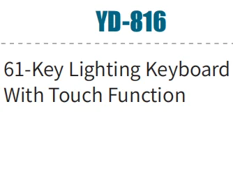 61-Key Electric Piano Keyboard Music Instrument(YD-816)