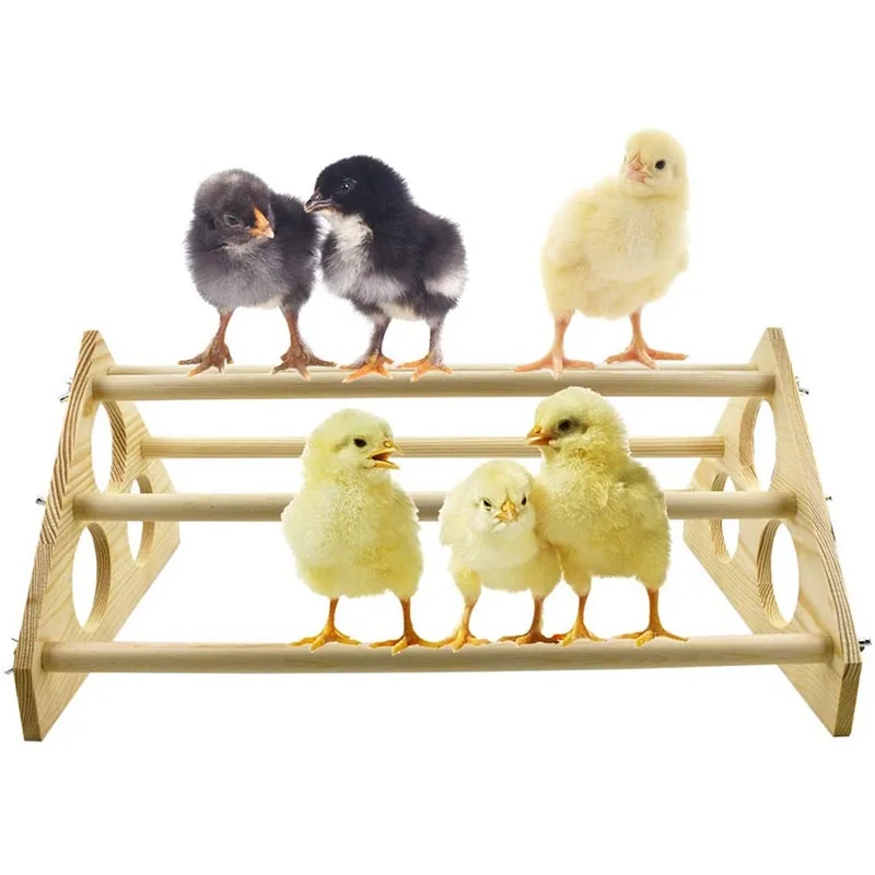 Sale Of Outdoor Household Chicken House Chicken Training Rack Swing Chicken Toy