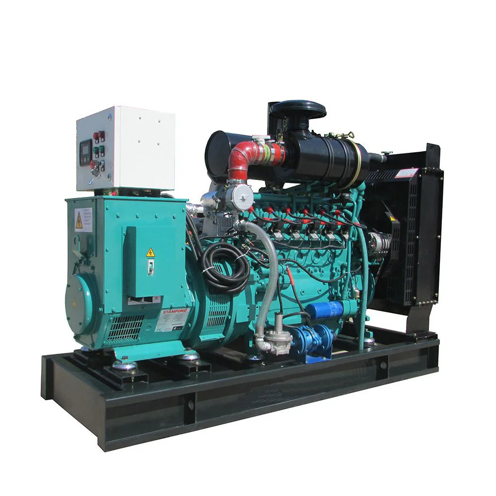 Factory price cheap small biomass gasifier wood steam power generator