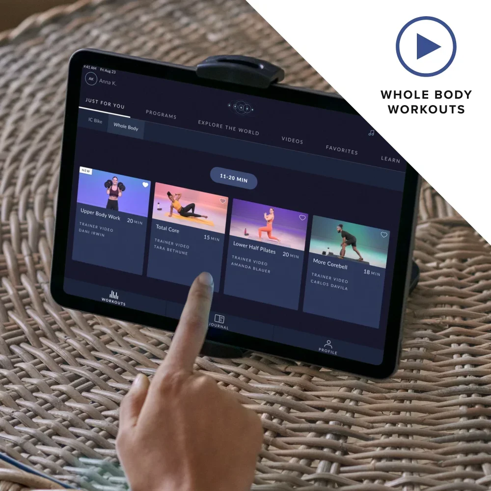 Multifunction free weight fitness cement dumbbell 40kg weight set adjustable barbel kettlebell dumbbell set