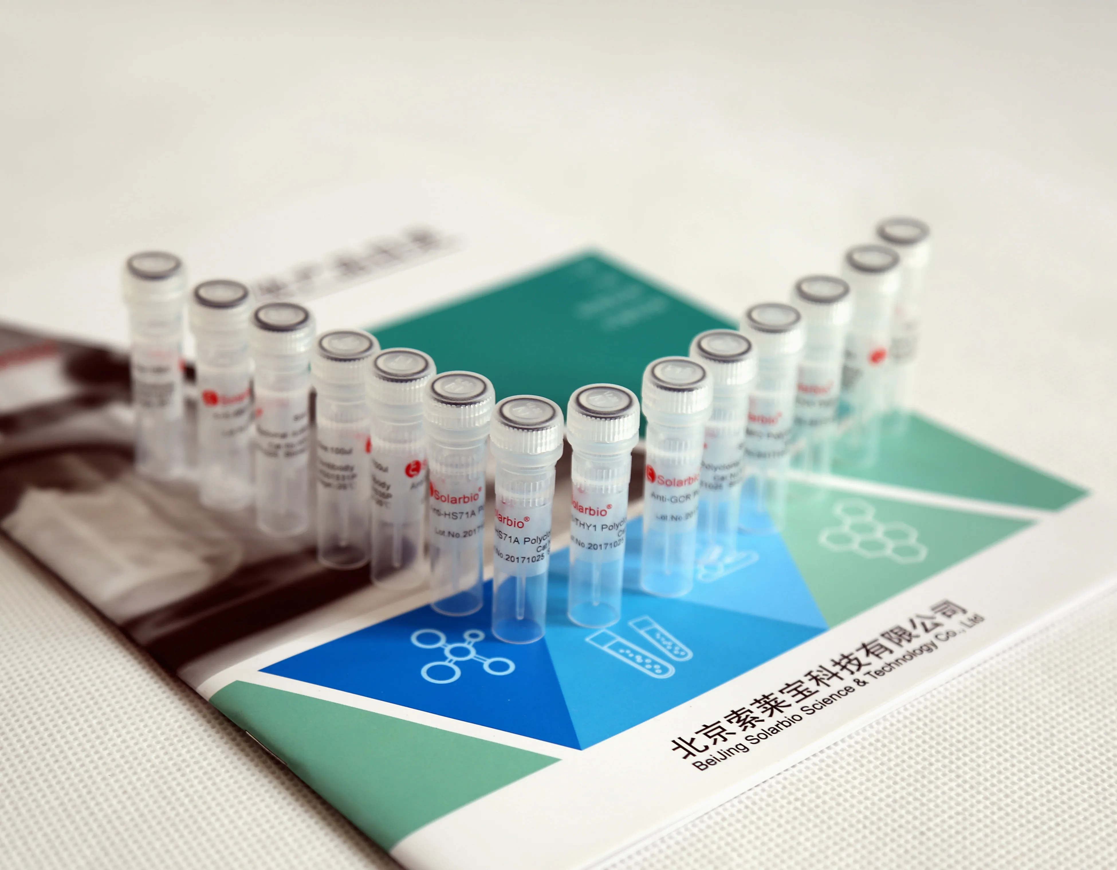 Анти-nephrin поликлональных