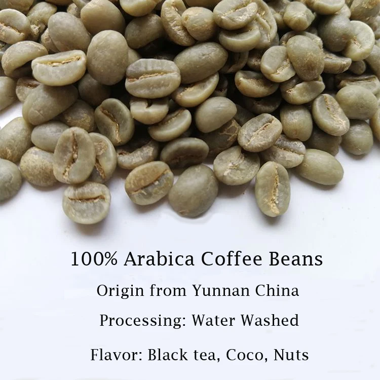 
wholesale Superior Quality directly from the farm coffee beans in bags Arabica green coffee beans 