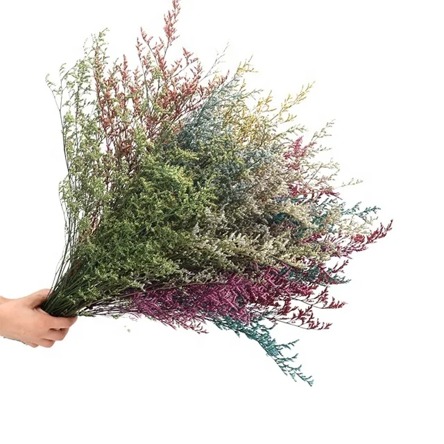 Caspia Preserved Flowers Limonium Stems Dried Flowers Craft Supplies Floral Home Wedding Decor Florals for Vase DIY Flowers