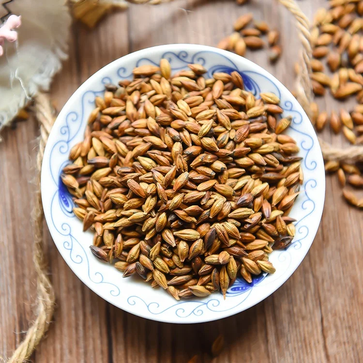 Bulk Wholesale Roasted Barley Grain Tea Health Food Drink Barley Tea