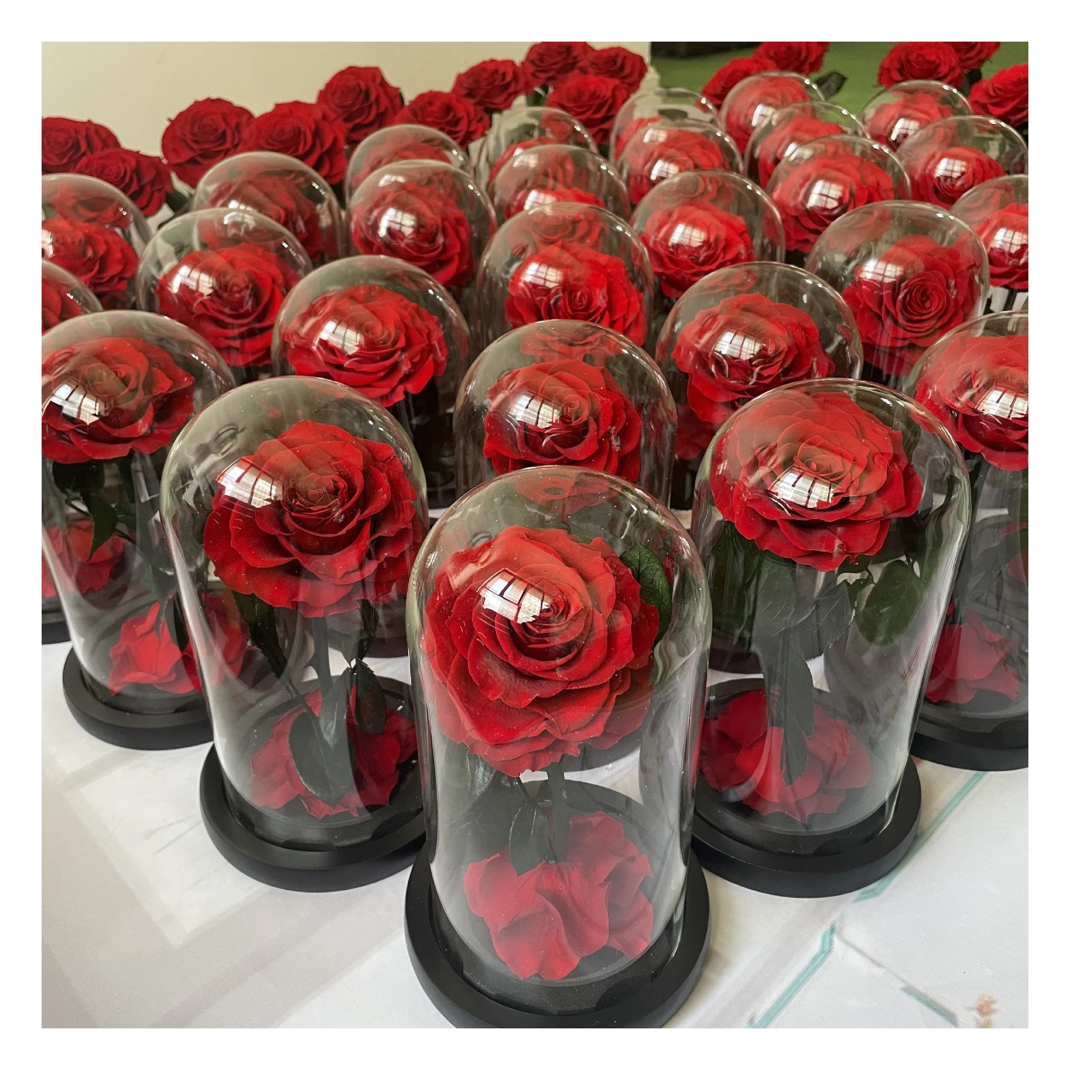 bella y bestia bella y la bestia flor de la bella y la bestia Enchanted Rose Beauty And The Beast Preserved Rose In Glass