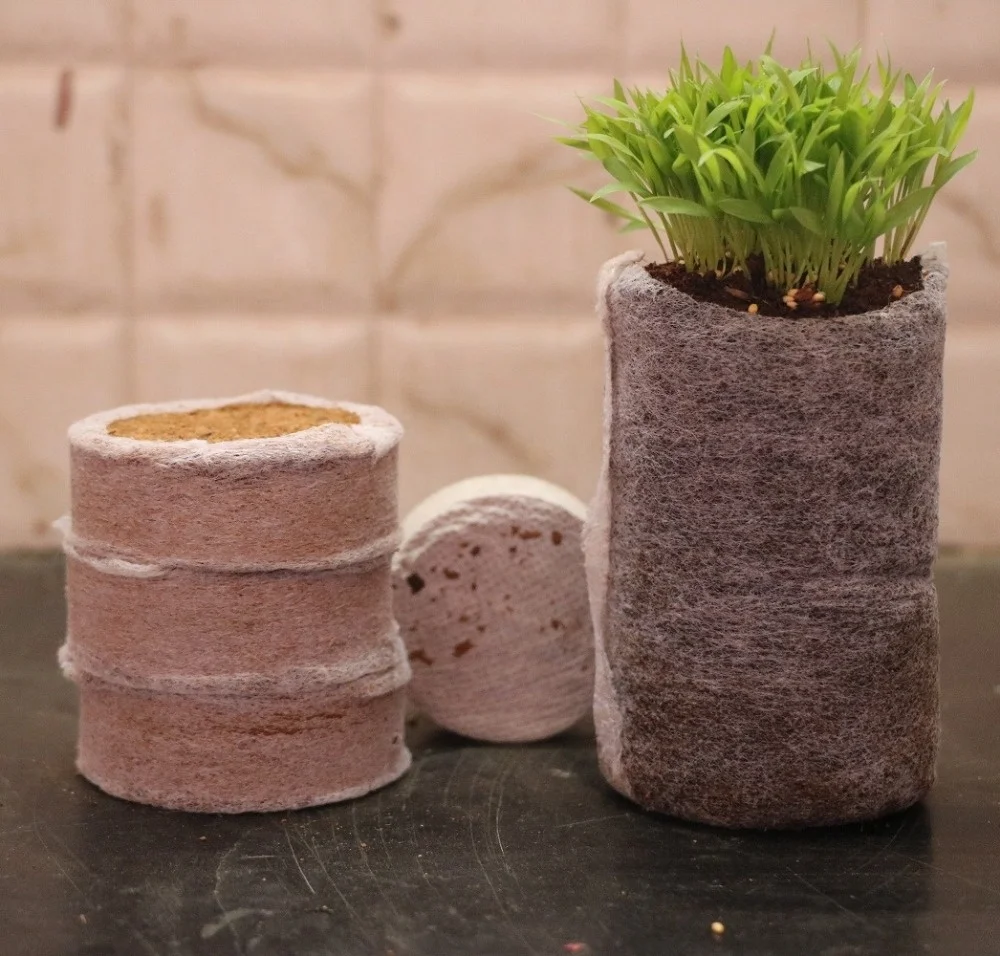  COIR