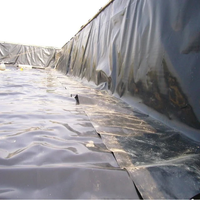 Hdpe Pond Liner Contemporary or Customized Annually Hotselling 150 Pieces 40HC Overseas 0.5mm Black Green Blue 2 Years YINGFAN