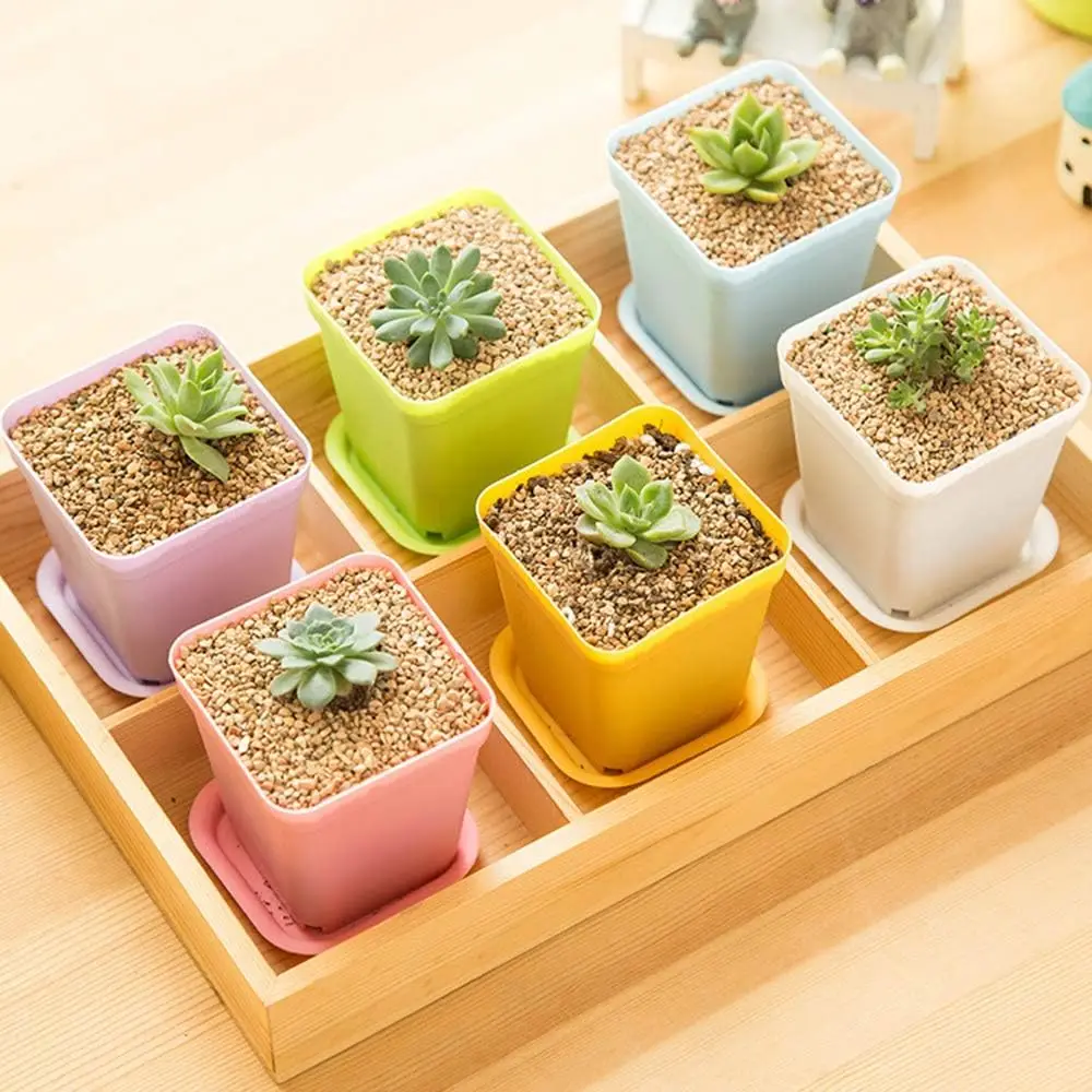 3 Inch Colorful Small Plastic Flower Pot Square Succulent Pot Seedling Nursery Pots with Saucers for Indoor Outdoor Plants