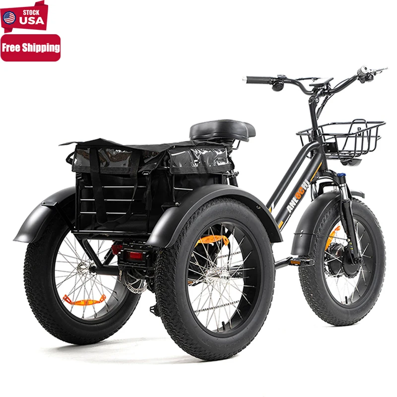ANLOCHI cheap PAS E tricycle fat tire three wheel trike electric bike e-trikes 750 watt for adults