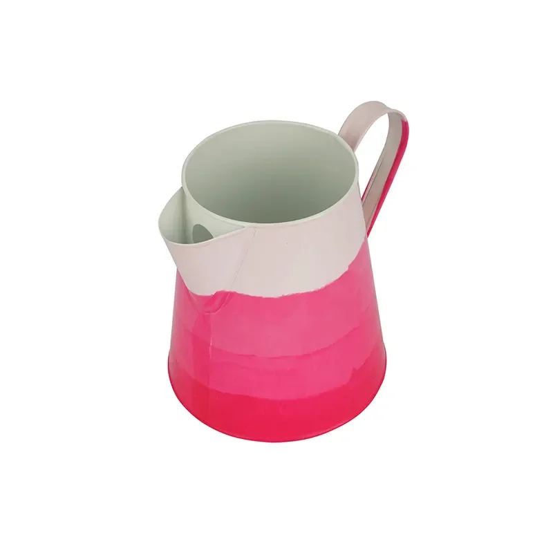 Multifunctional Printed 2.5L Metal Garden Outdoor Irrigation Tool Iron Plant Watering Cans with Handle