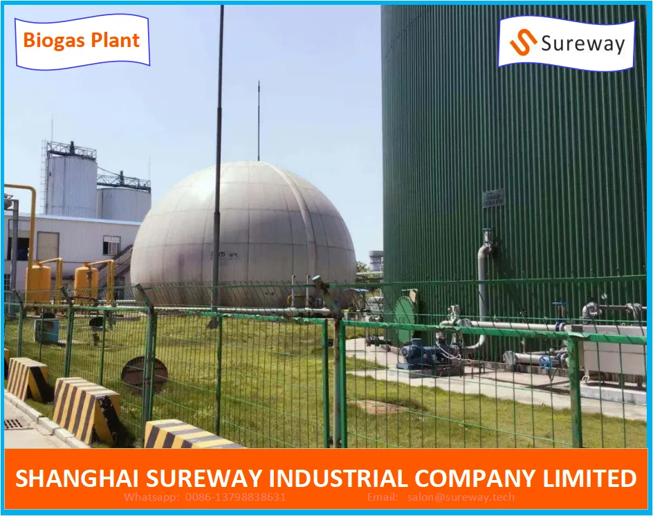 Cstr Anaerobic Reaction Tank Biogas Digester