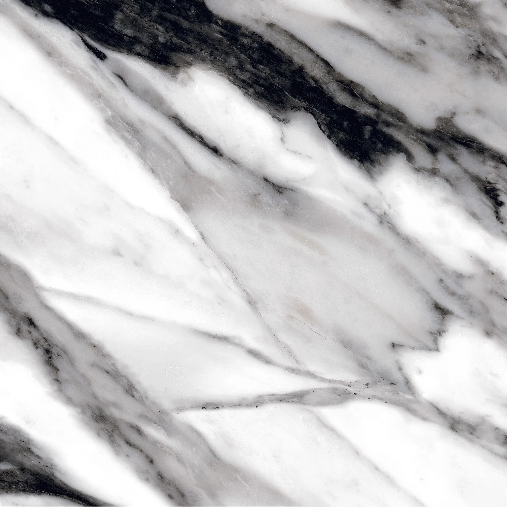 Polished Panda Marble Wall Flooring Countertop Stairs Paving Panda Marble Slab Tiles With White or Grey Veins