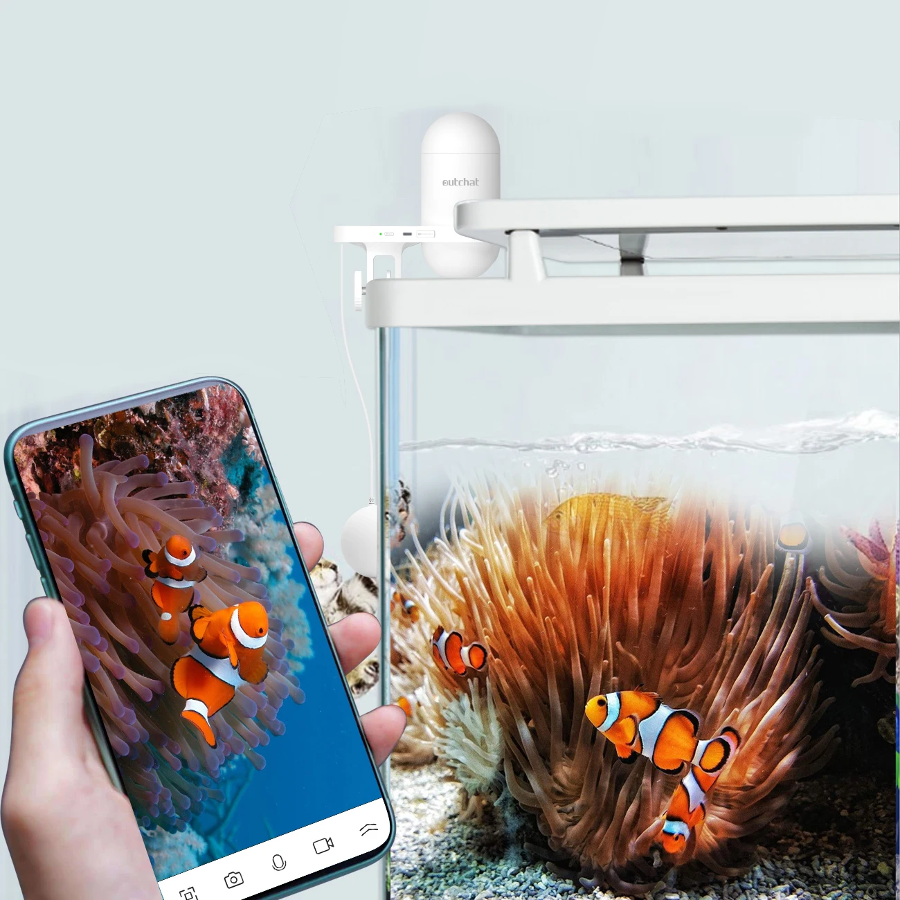 Luxury Auto Fish Dispenser Feed Pellet Shrimp Turtle And Other Fish Feeder Machine Wifi Smart Automatic Fish Farm Feeder