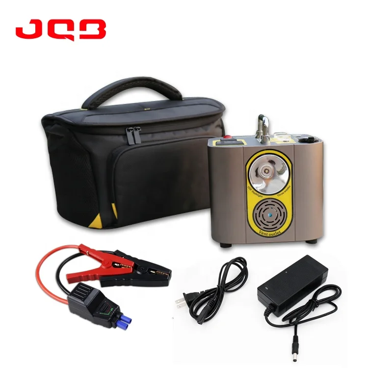 220V/110V portable pure sine wave generator uninterrupted power supply (ups)