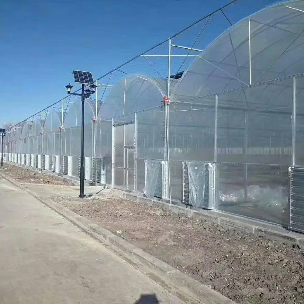 Хорошая дневная подсветка и огнестойкая многоразовая теплица с климатическим контролем и охлаждающей прокладкой