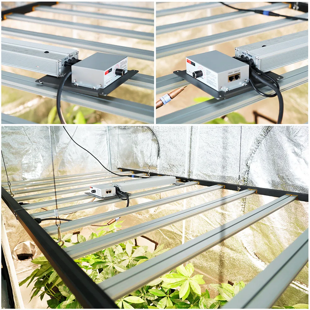 2023 ETL Sambead lm301b Full Spectrum 600w 900w 1000w Light Grow LED