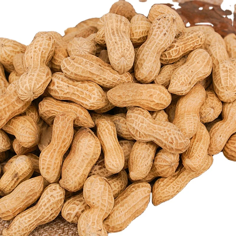 blanched roasted salted peanuts in shell