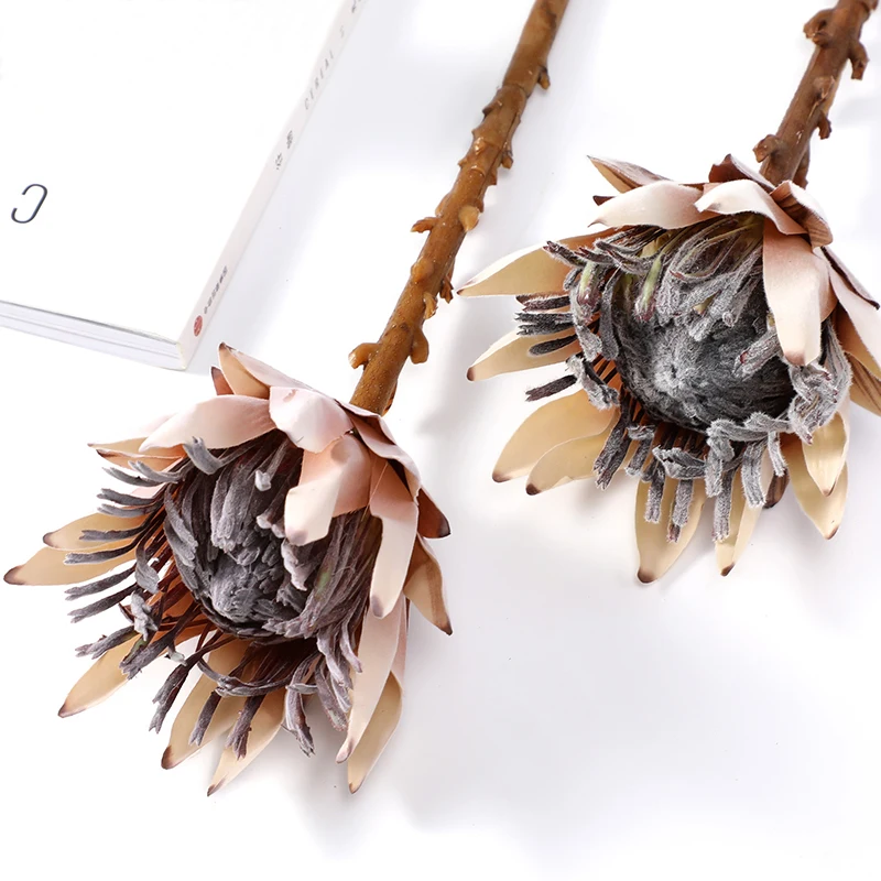 Retro Style Deco High Quality UniqueDried Protea Cynaroides Flowers Other Decorative Flowers & Plants