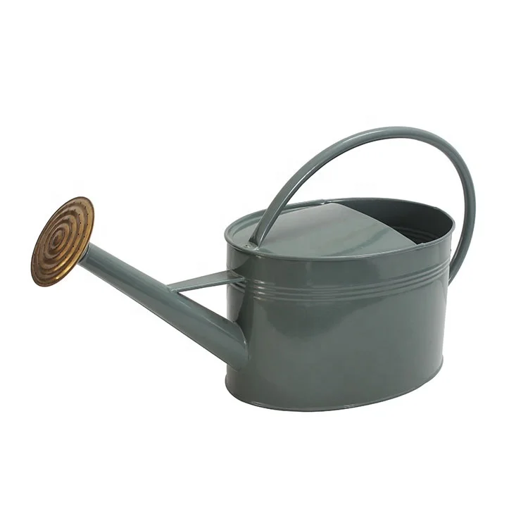 7L/1.3 gal Galvanized Watering Can Zinc oval garden watering pot with Handle and Rosehead