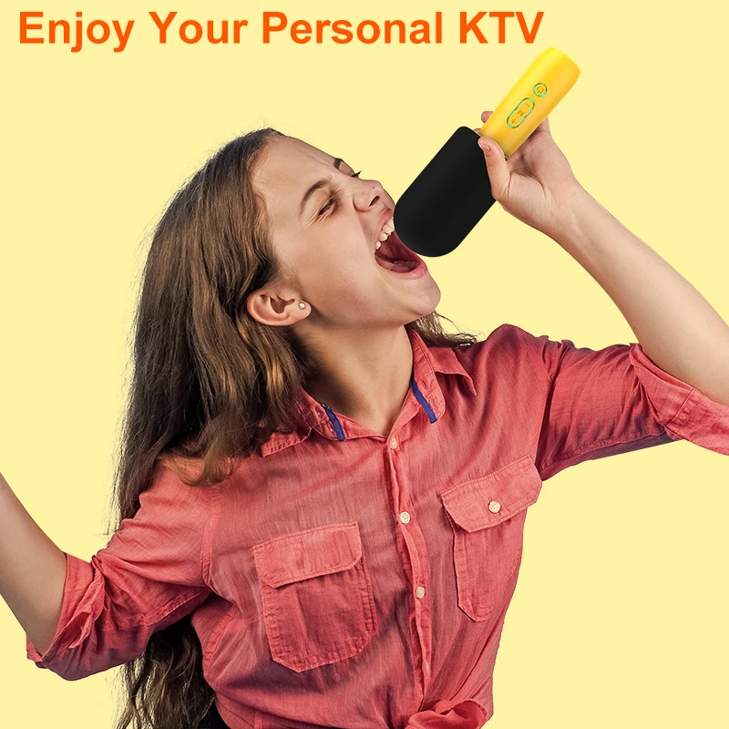 Cheap Price Handheld Condenser Singing Mic Outdoor Home Karaoke Microphone Wireless Professional