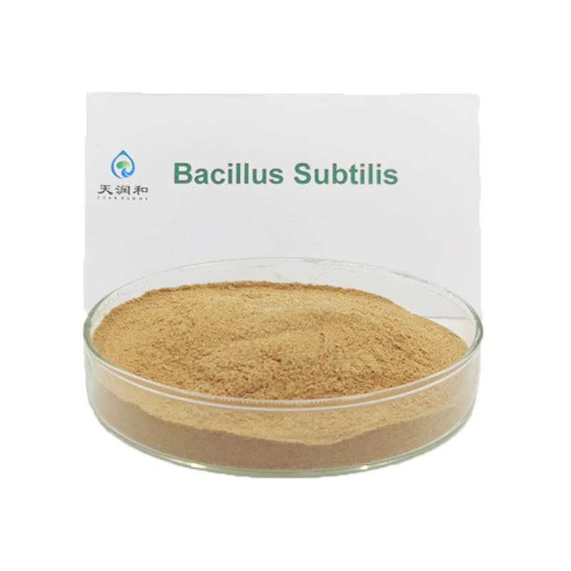 microbial compound fertilizer inoculum fertilizer bacillus subtilis