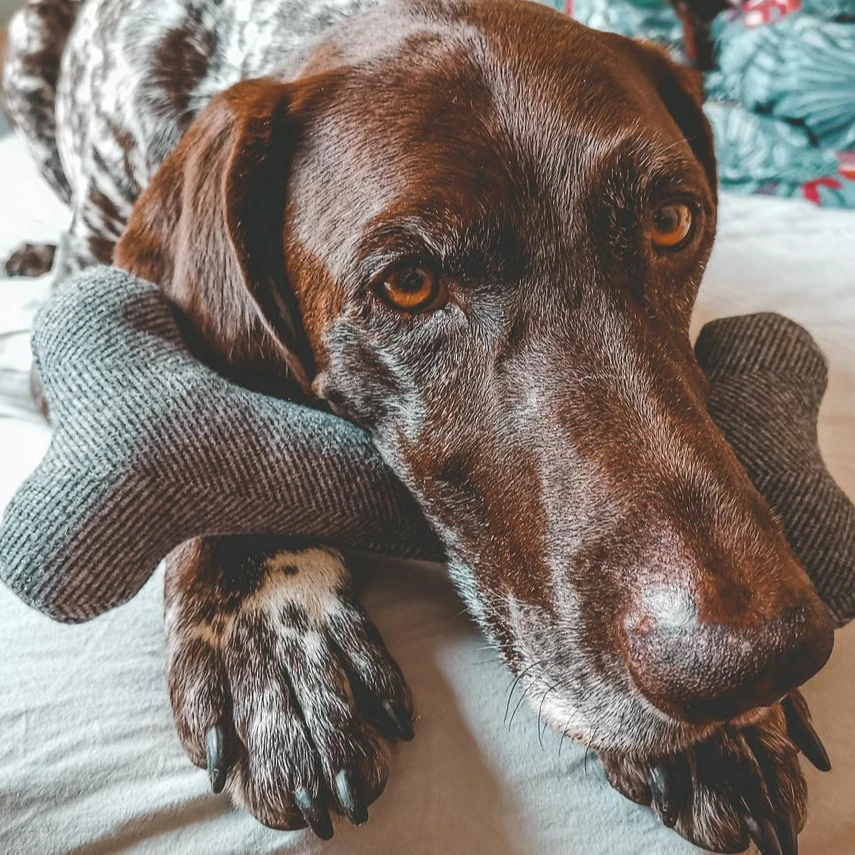  Handmade Dog Bone Toy Plush Toys Woolen Pet Puppy Accesories For Dogs
