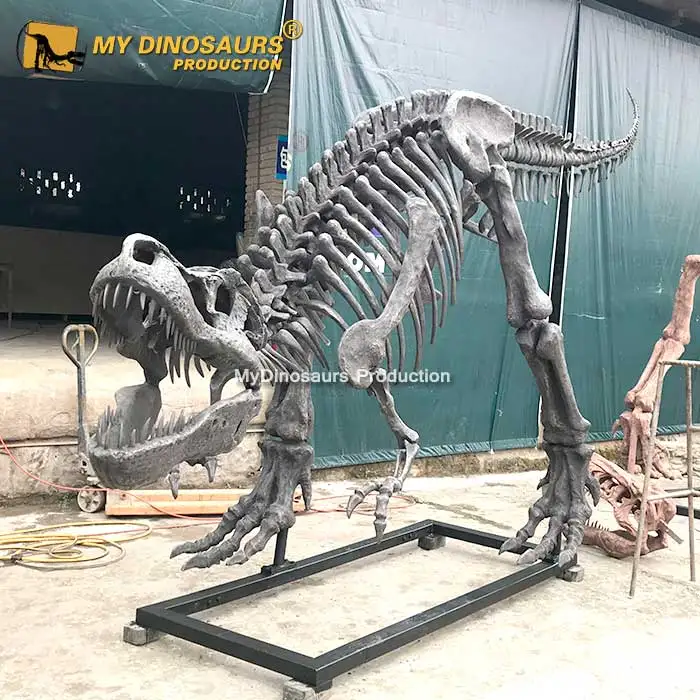 My Dino Life Size Dinosaur T-rex Skeleton for Shopping Mall