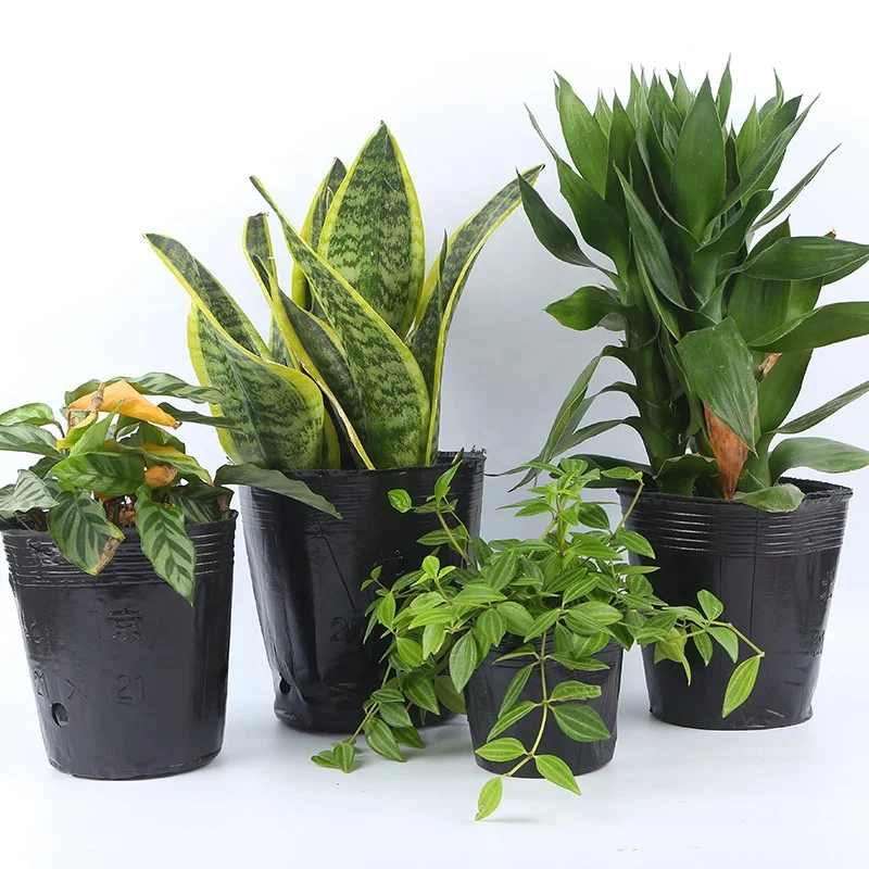 Large Garden Tree Flower Pots Free Sample Rectangular Plastic Window Box Nursery Gallon Home Application PP/PE MaterialZ