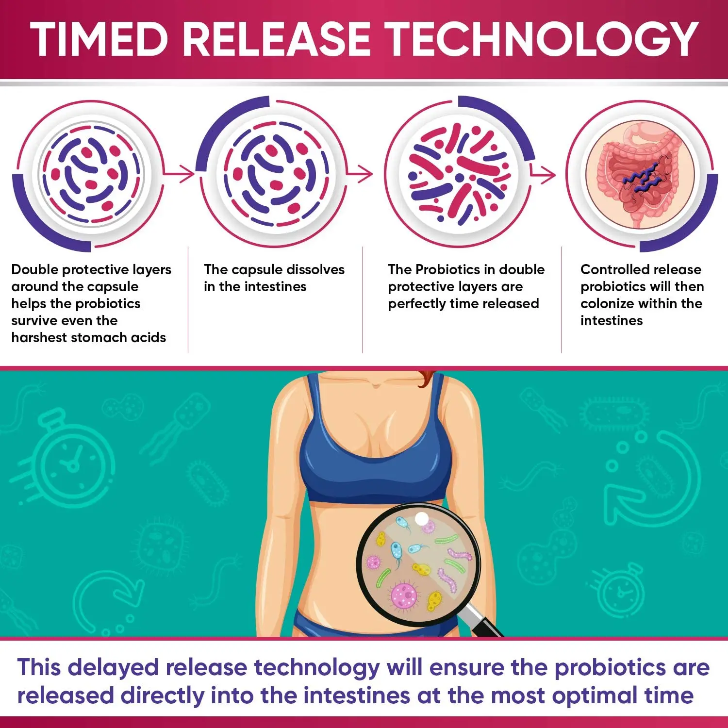 Hot sale Probiotic Gummies For Adults Immune Support And Digestion Gummy And Probiotics For Women Gummies