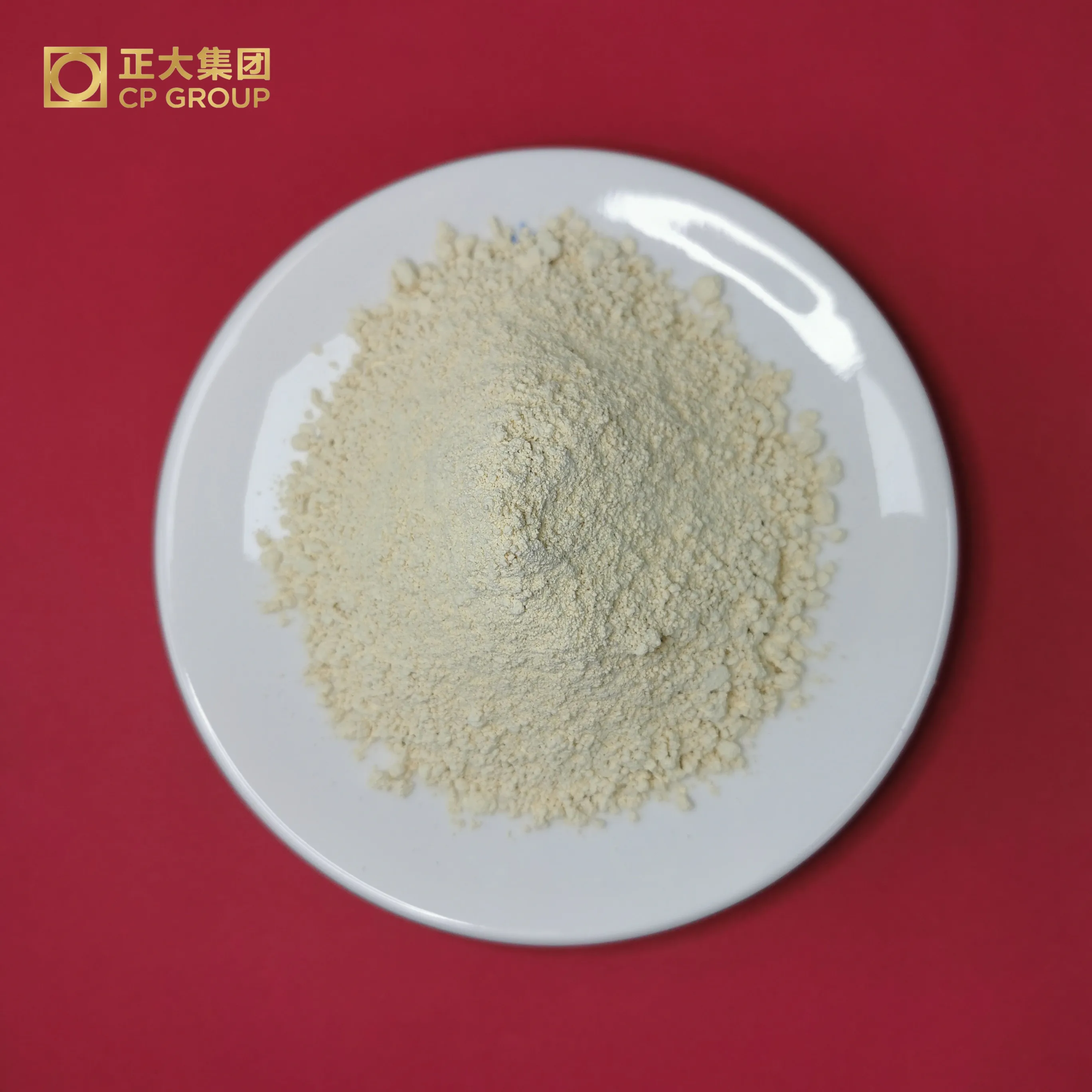 Manufacturer Lactose DSM 95% Natamycin for Juice