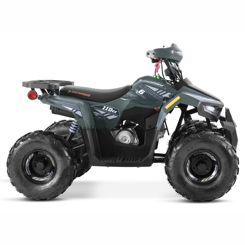 Tao Motor 2025 New Quad Bike Cuatrimoto Cheap Chinese Kids 110cc ATV with EPA CE